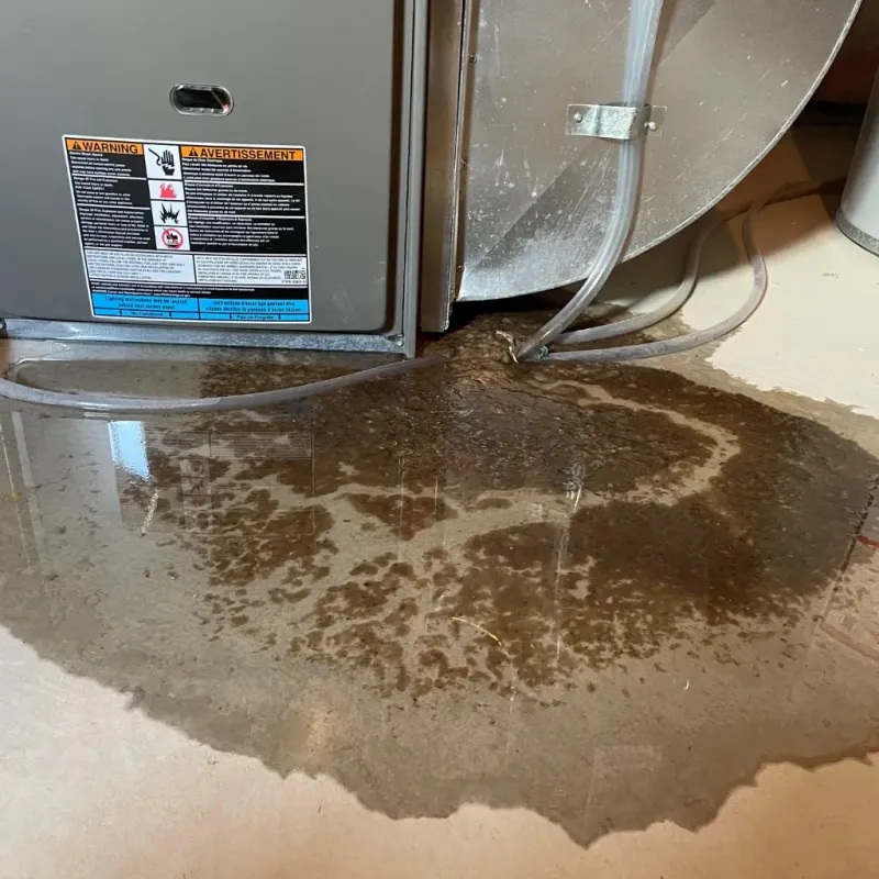 Appliance Leak Cleanup in Bridgeport, NE